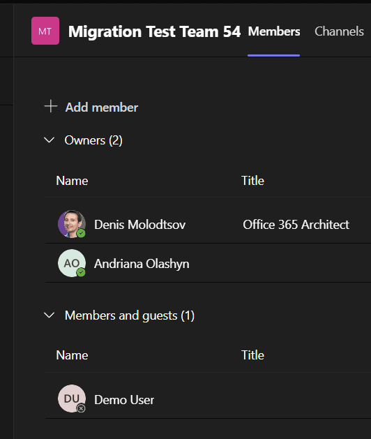 Screenshot: Team members and owners